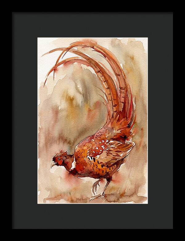 Vibrant Pheasant In Watercolor