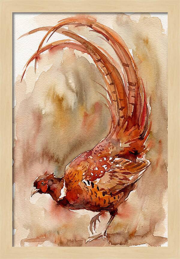 Vibrant Pheasant In Watercolor