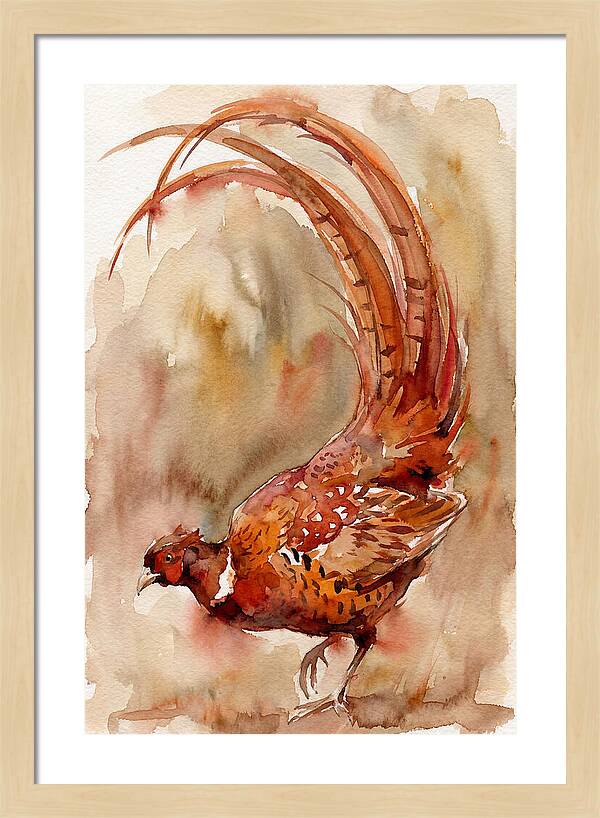 Vibrant Pheasant In Watercolor