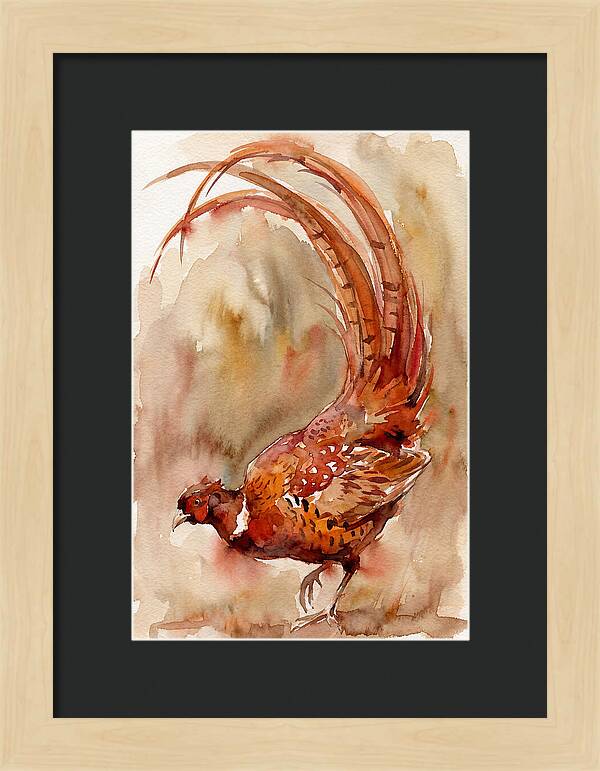 Vibrant Pheasant In Watercolor