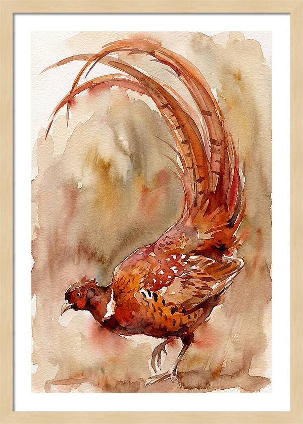 Vibrant Pheasant In Watercolor