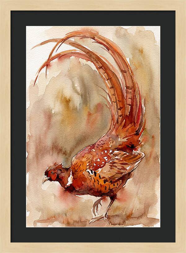 Vibrant Pheasant In Watercolor