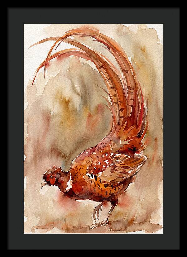 Vibrant Pheasant In Watercolor