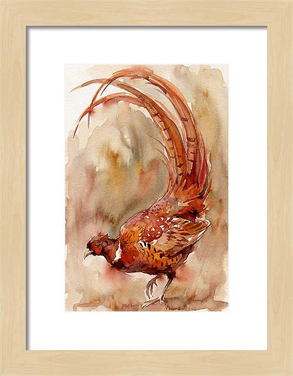 Vibrant Pheasant In Watercolor