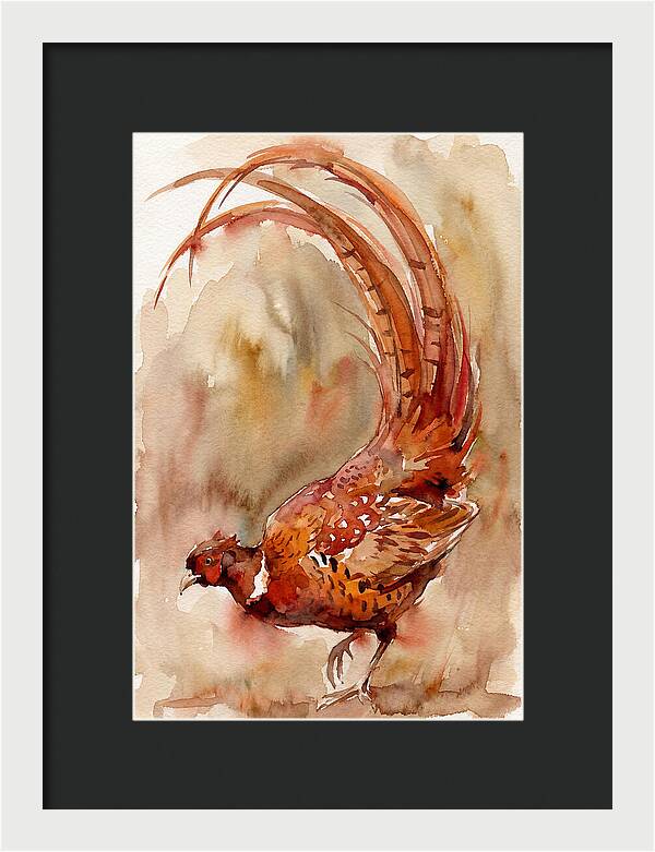 Vibrant Pheasant In Watercolor