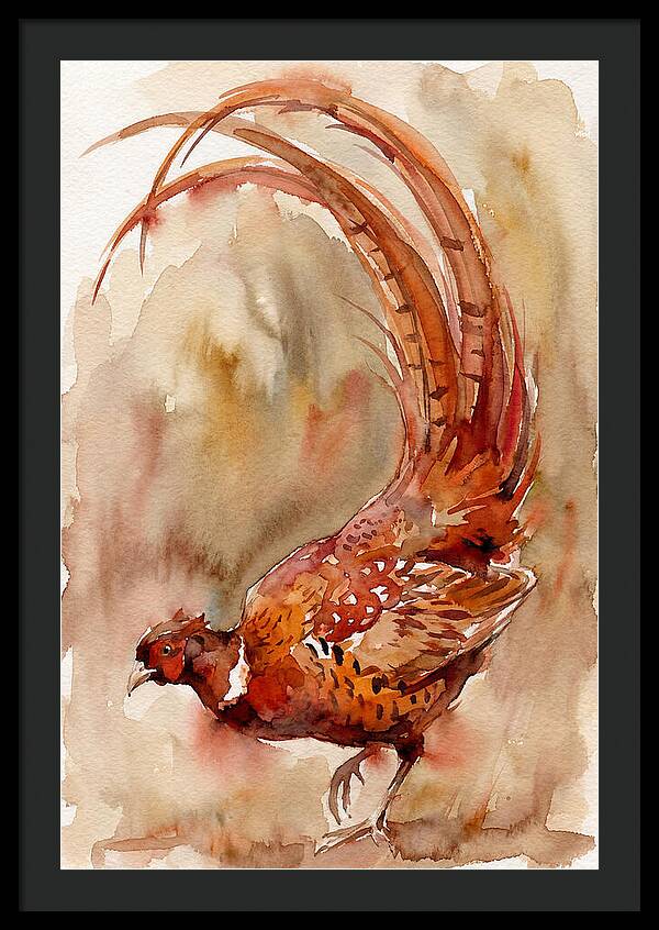 Vibrant Pheasant In Watercolor