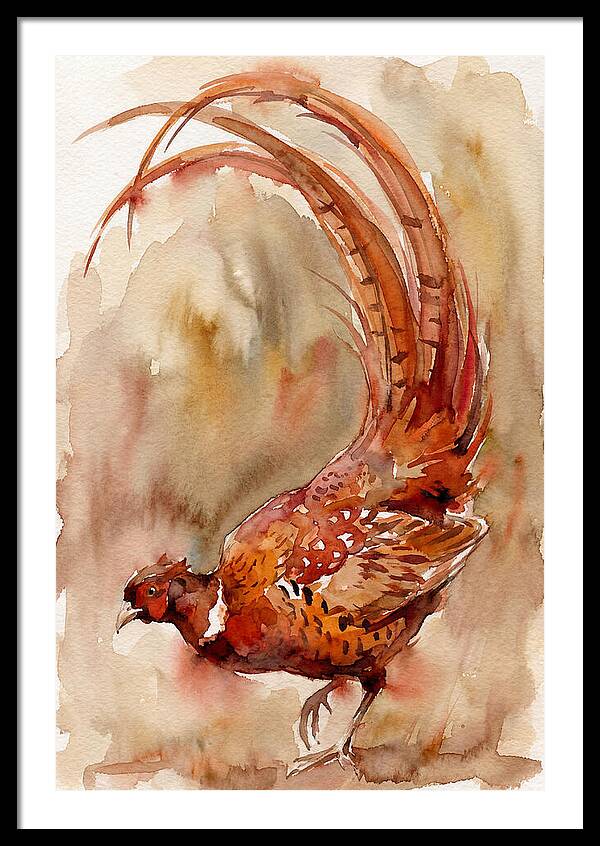 Vibrant Pheasant In Watercolor
