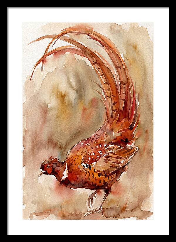 Vibrant Pheasant In Watercolor