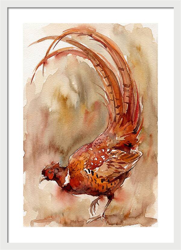 Vibrant Pheasant In Watercolor
