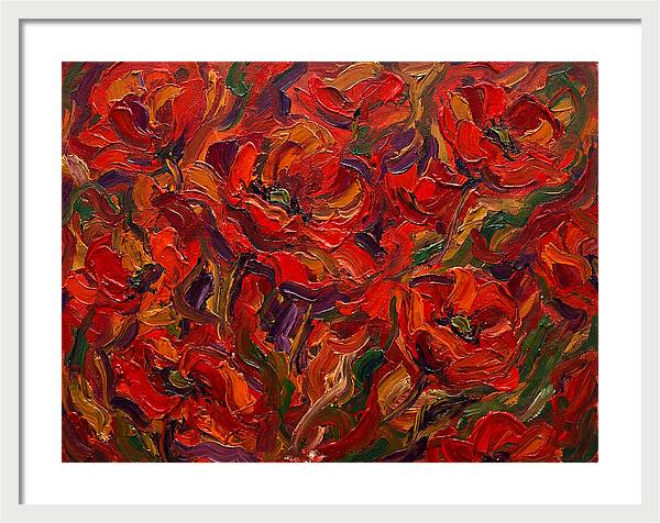 Vibrant Poppy Field