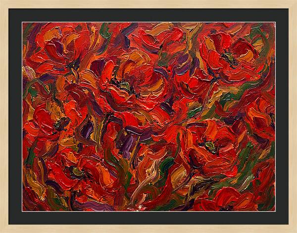Vibrant Poppy Field
