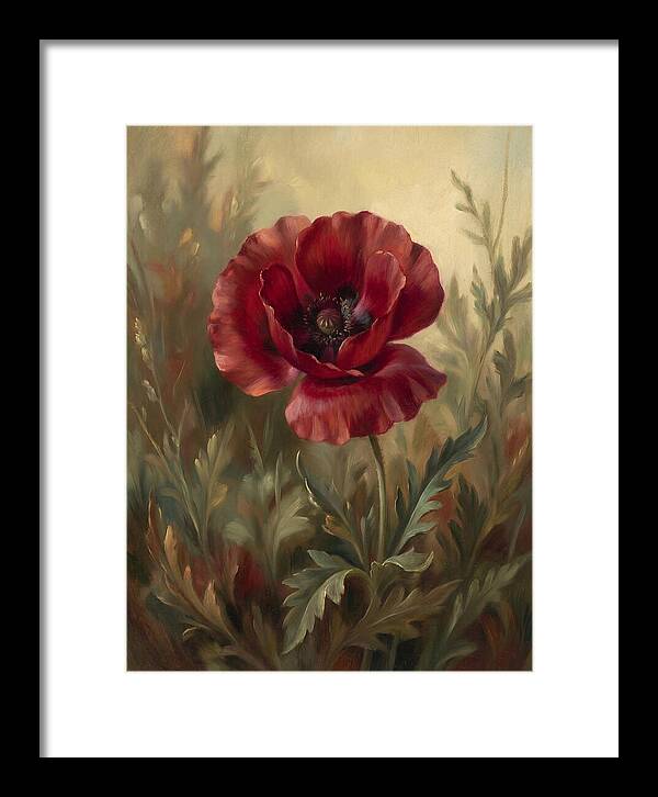 Vibrant Red Poppy Blossom
