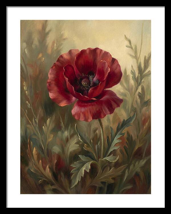 Vibrant Red Poppy Blossom