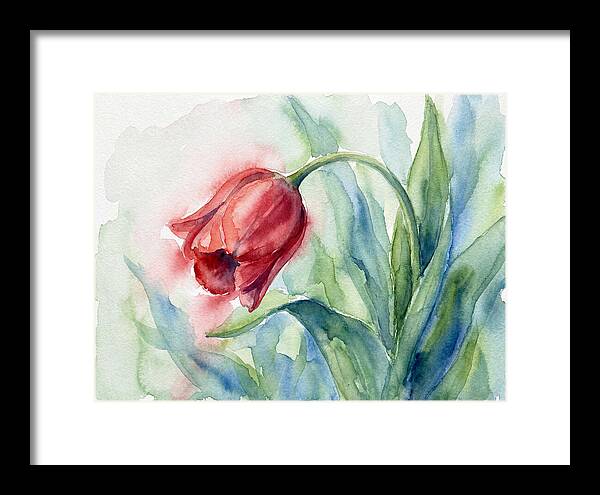 Vibrant Red Tulip