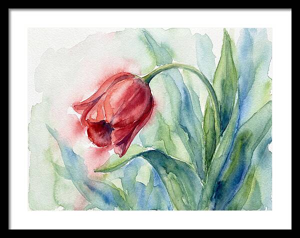 Vibrant Red Tulip