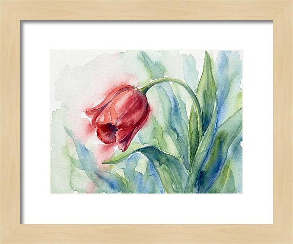 Vibrant Red Tulip