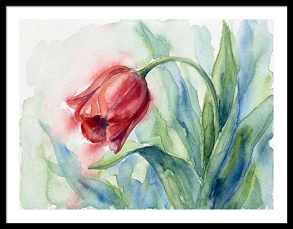 Vibrant Red Tulip