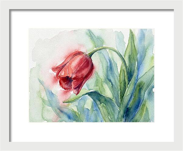 Vibrant Red Tulip