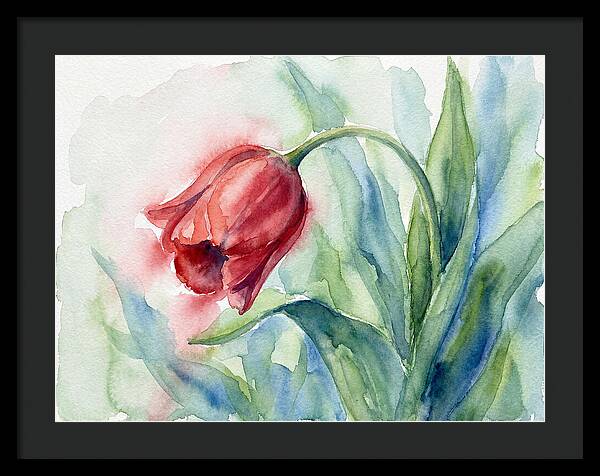 Vibrant Red Tulip