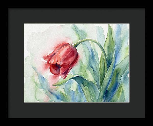 Vibrant Red Tulip