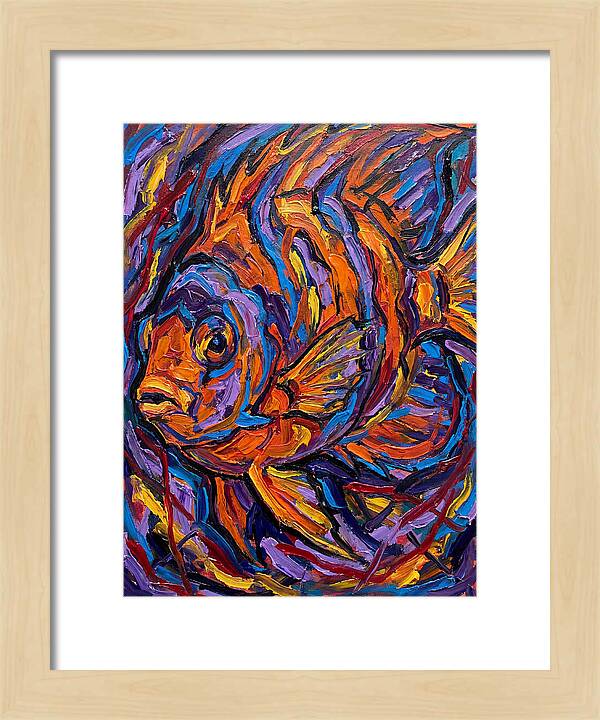 Vibrant Reef Fish