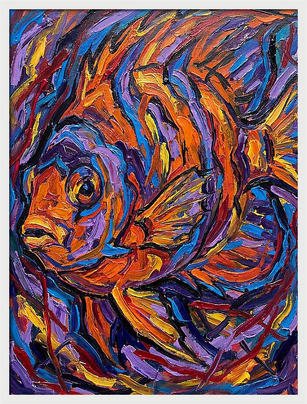 Vibrant Reef Fish