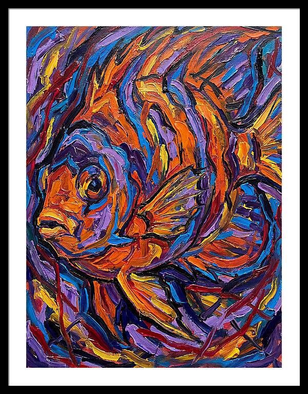 Vibrant Reef Fish