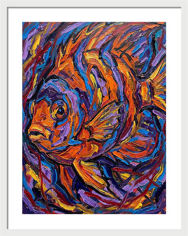 Vibrant Reef Fish