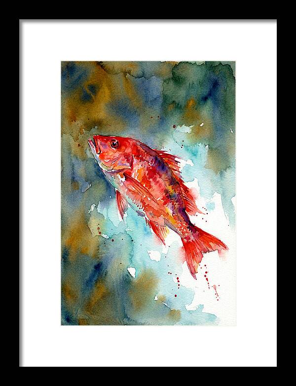 Vibrant Snapper In Watercolor