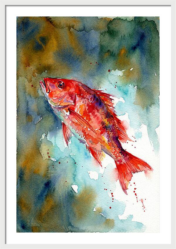 Vibrant Snapper In Watercolor