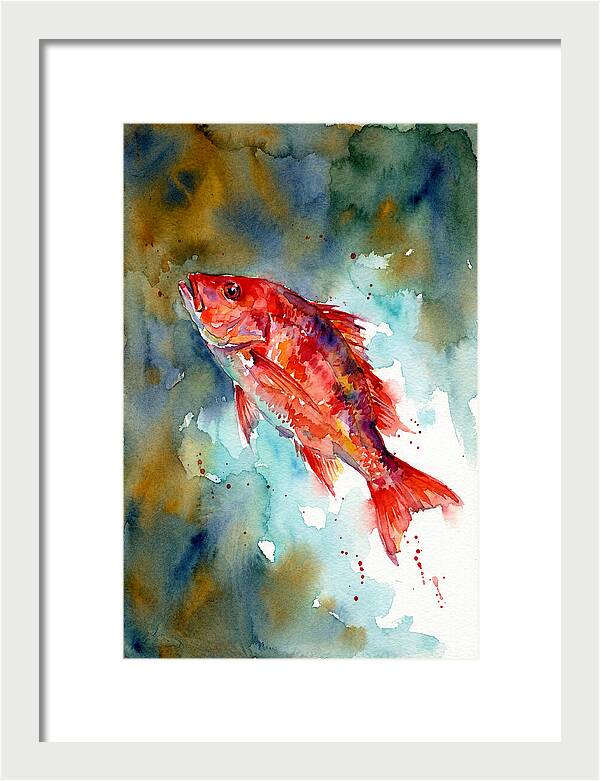 Vibrant Snapper In Watercolor