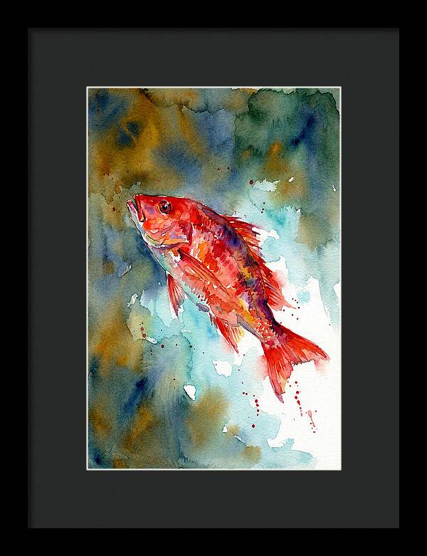 Vibrant Snapper In Watercolor