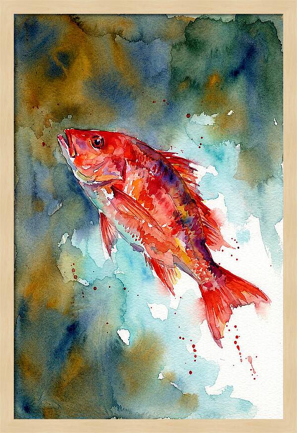Vibrant Snapper In Watercolor