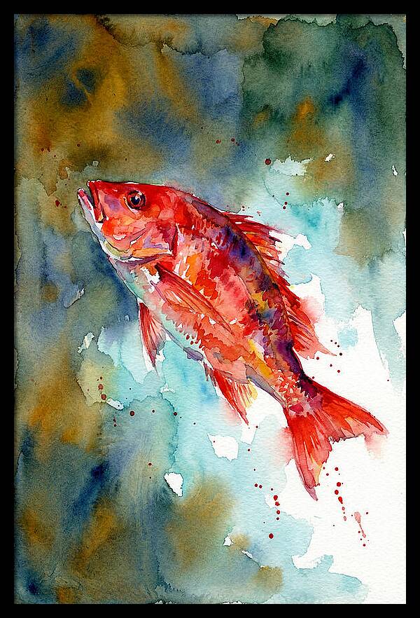 Vibrant Snapper In Watercolor