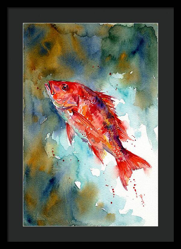 Vibrant Snapper In Watercolor