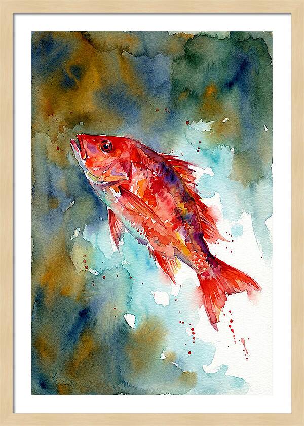 Vibrant Snapper In Watercolor
