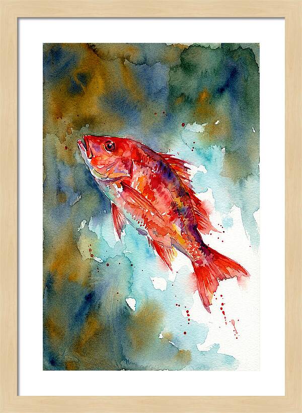 Vibrant Snapper In Watercolor