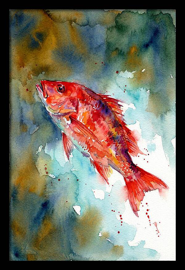 Vibrant Snapper In Watercolor