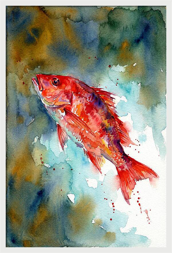 Vibrant Snapper In Watercolor