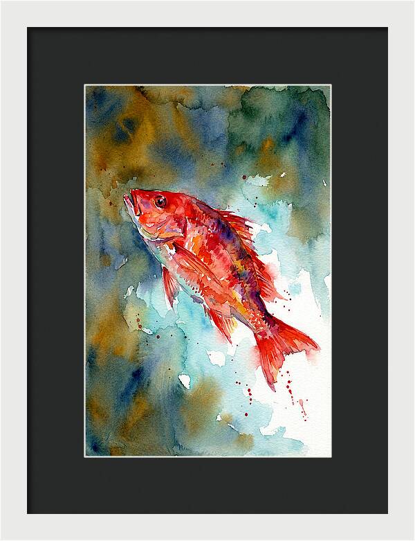 Vibrant Snapper In Watercolor