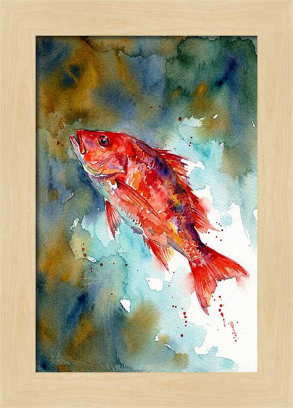 Vibrant Snapper In Watercolor