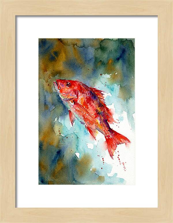 Vibrant Snapper In Watercolor