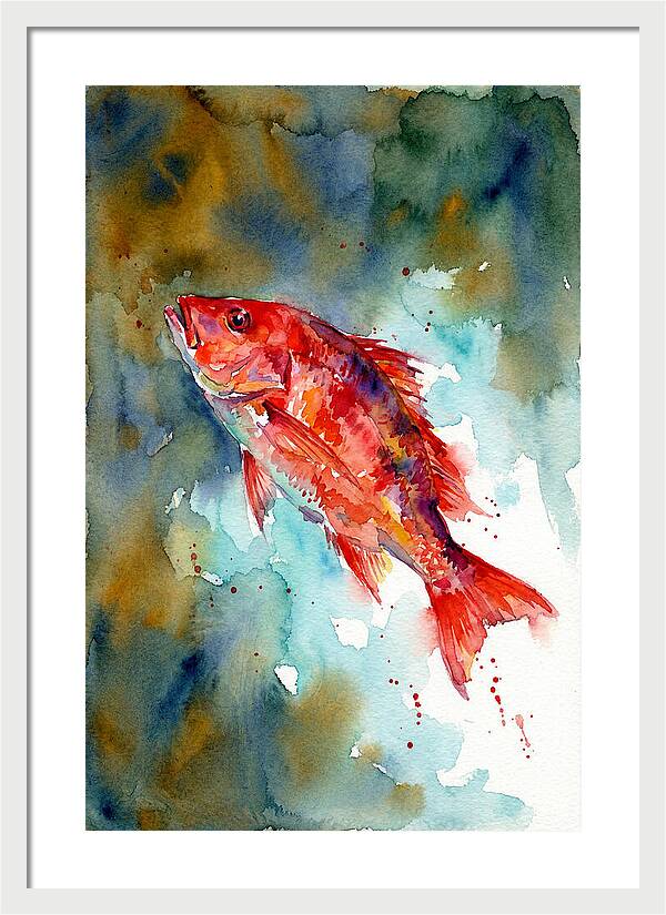 Vibrant Snapper In Watercolor