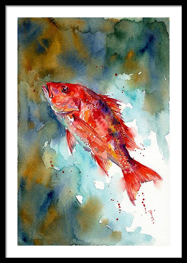 Vibrant Snapper In Watercolor
