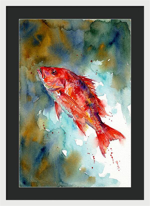 Vibrant Snapper In Watercolor