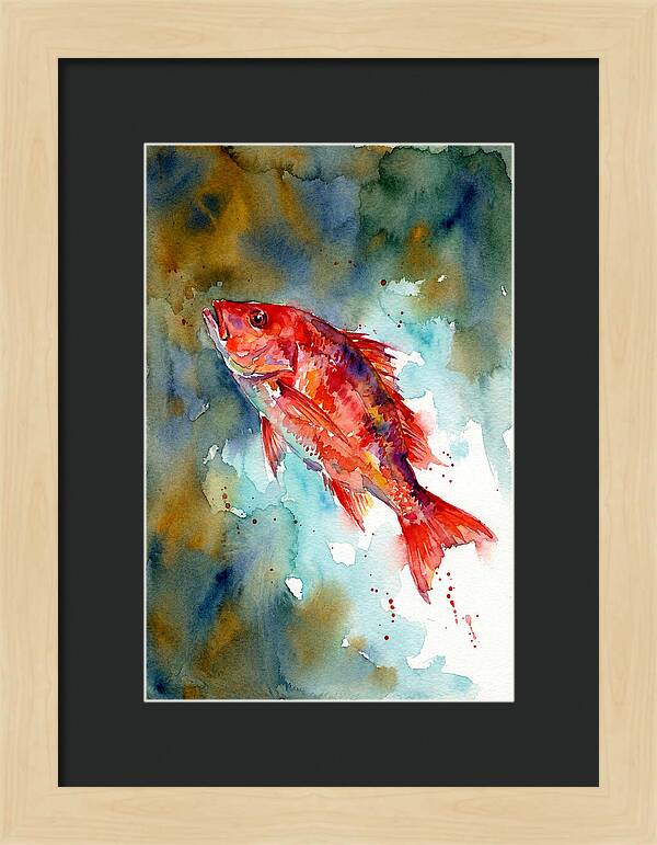 Vibrant Snapper In Watercolor