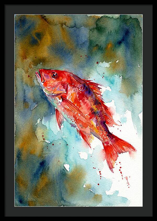 Vibrant Snapper In Watercolor