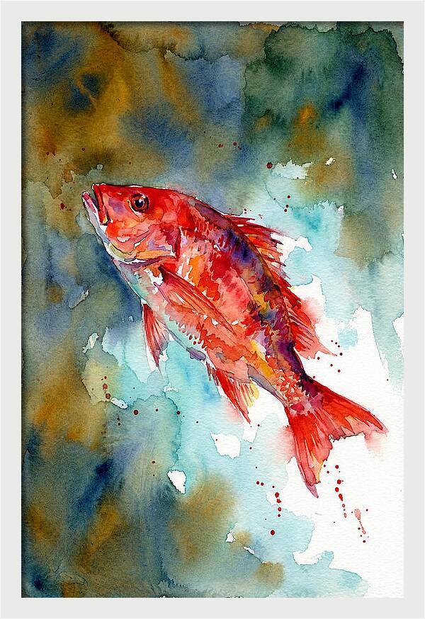Vibrant Snapper In Watercolor