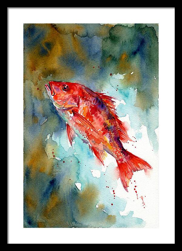 Vibrant Snapper In Watercolor