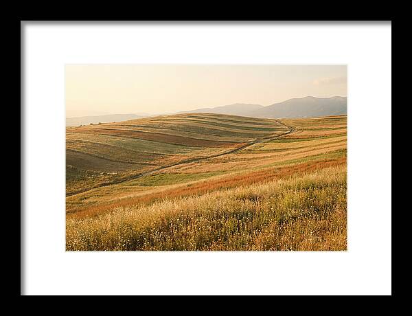 Vibrant Tranquility Of Painted Hills